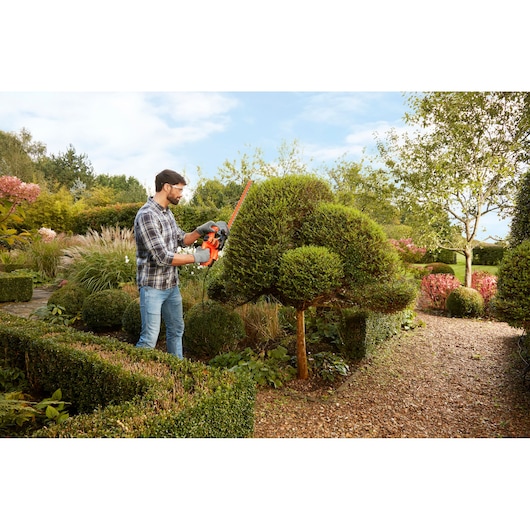 Photo of BLACKDECKER BEHT251 hedge trimmer used for shaping topiary bushes in a garden.