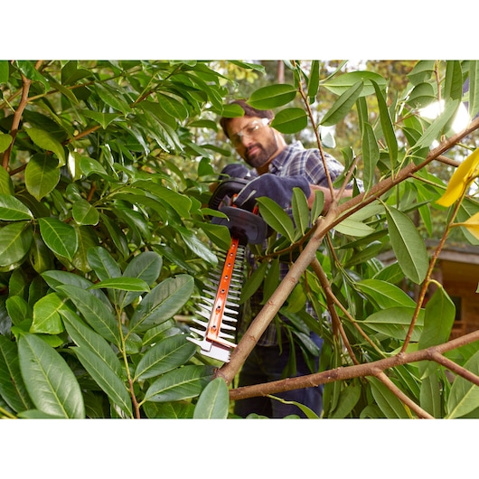 BLACKDECKER BEHTS301 hedge trimmer in use, trimming dense green branches outdoors.