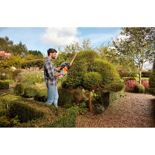 BLACKDECKER BEHTS301 hedge trimmer in use trimming topiary in a garden.