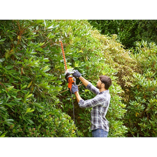 BLACKDECKER BEHTS401 hedge trimmer in use trimming tall green bushes outdoors.