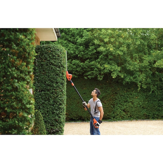 BLACKDECKER PH5551 pole hedge trimmer used for tall hedge trimming outdoors.
